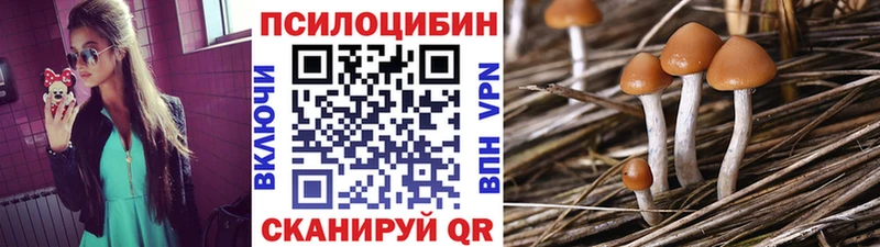 Галлюциногенные грибы прущие грибы  Купить закладки  Десногорск 